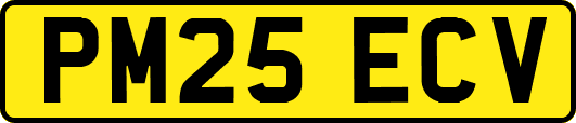 PM25ECV