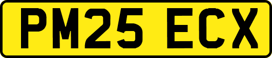 PM25ECX