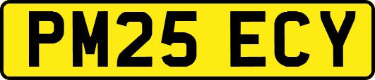 PM25ECY