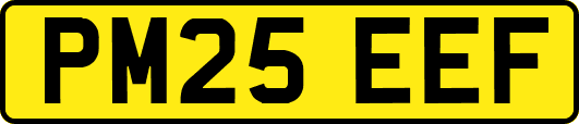 PM25EEF