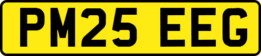 PM25EEG