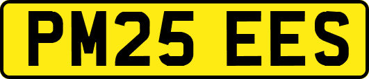 PM25EES
