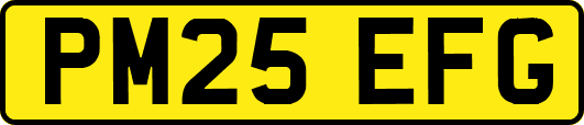 PM25EFG