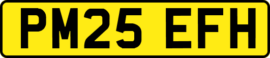 PM25EFH