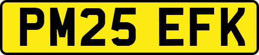 PM25EFK