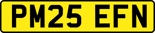PM25EFN