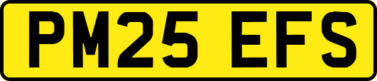 PM25EFS