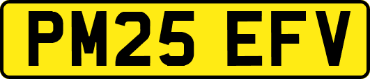 PM25EFV