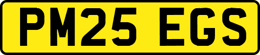 PM25EGS