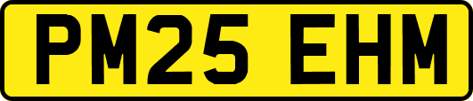 PM25EHM