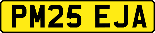 PM25EJA