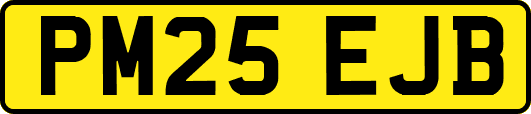 PM25EJB