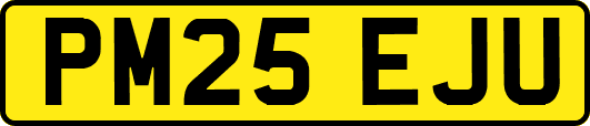 PM25EJU