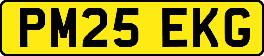 PM25EKG