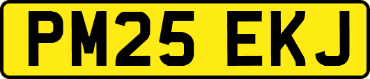 PM25EKJ