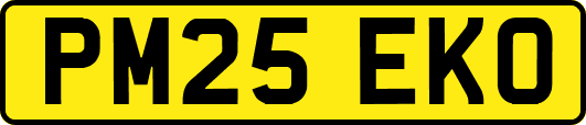 PM25EKO