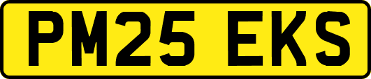 PM25EKS