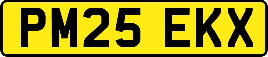 PM25EKX