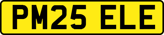 PM25ELE