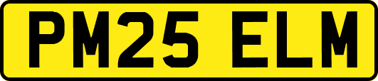 PM25ELM
