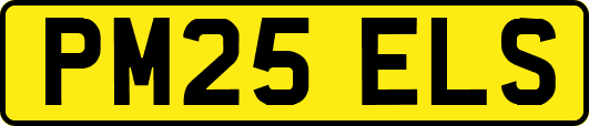 PM25ELS