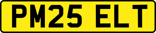 PM25ELT