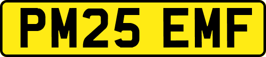 PM25EMF