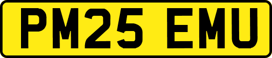 PM25EMU