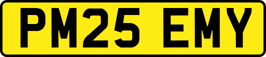 PM25EMY