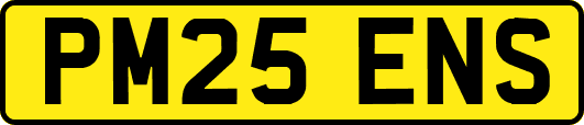 PM25ENS