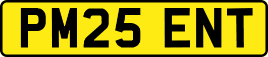 PM25ENT