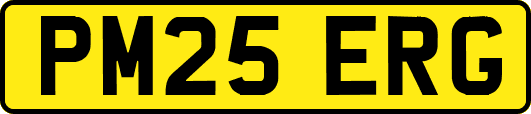 PM25ERG