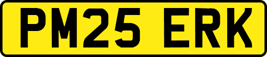 PM25ERK