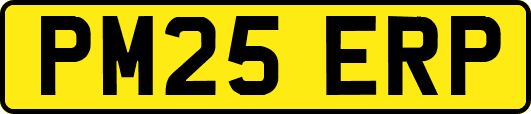 PM25ERP