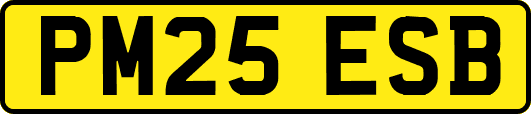 PM25ESB