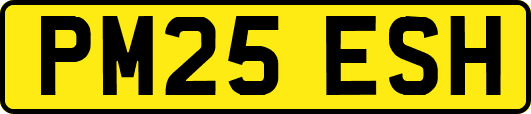 PM25ESH