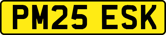 PM25ESK