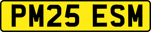 PM25ESM