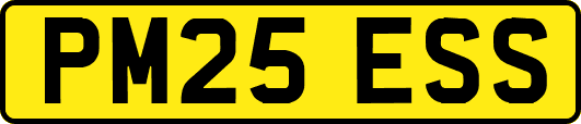 PM25ESS