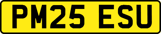 PM25ESU