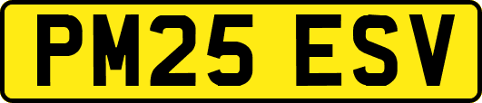 PM25ESV