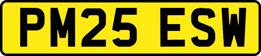 PM25ESW