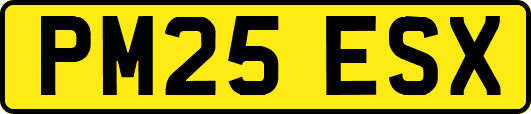 PM25ESX