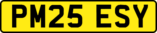 PM25ESY