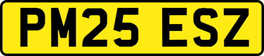 PM25ESZ
