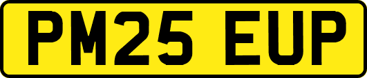 PM25EUP