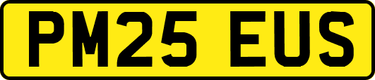 PM25EUS