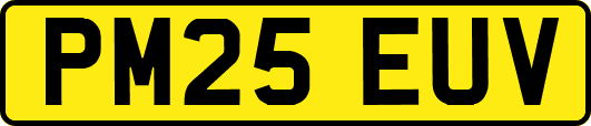 PM25EUV