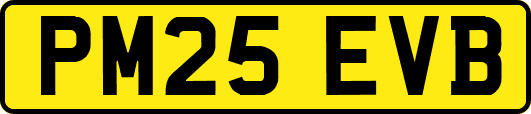 PM25EVB