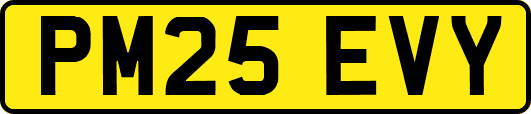 PM25EVY